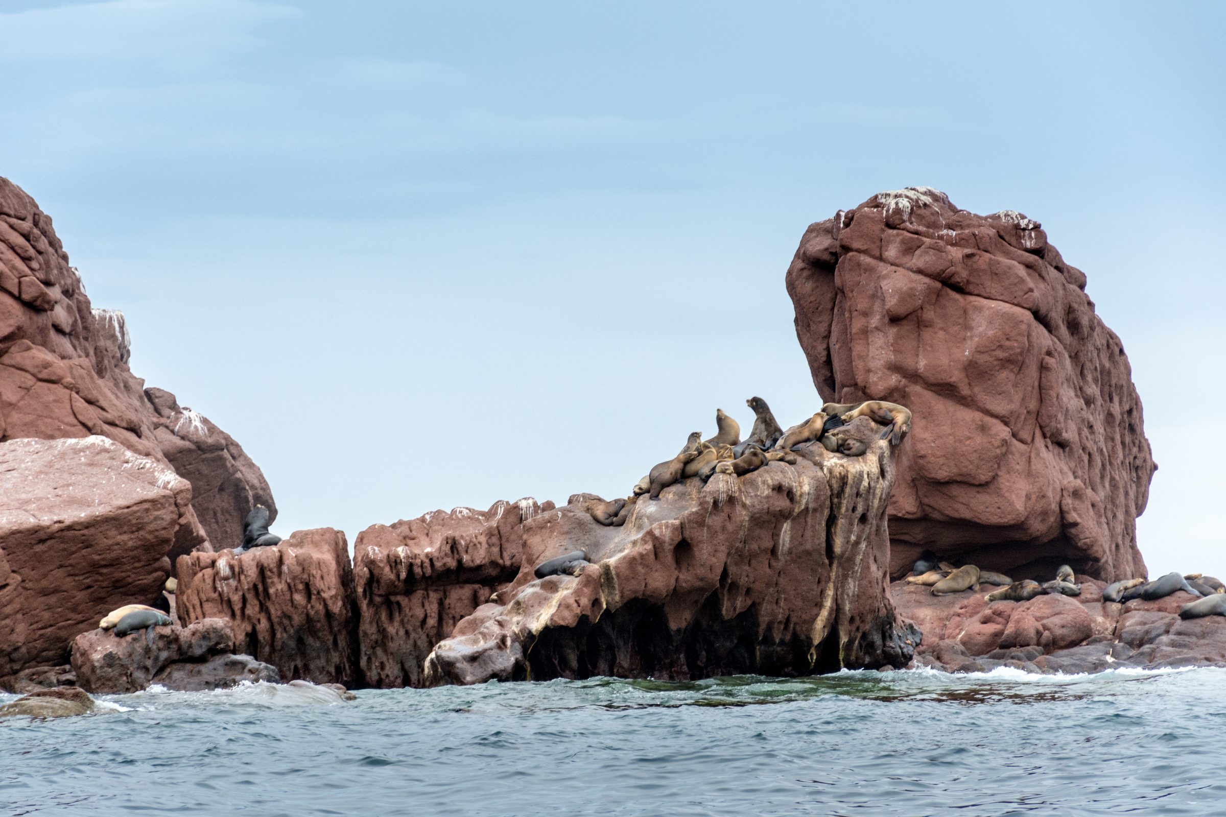 24 isla los islotes.webp